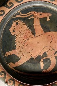 Chimera
