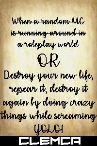 Destroy your new life, repair it, destroy it again by doing crazy things while screaming YOLO!