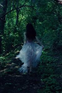 Dream Weaver ~ The LightBringer