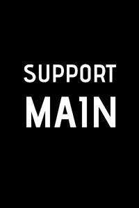 Support Main - LITRPG