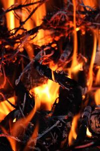 Bonfire of Souls