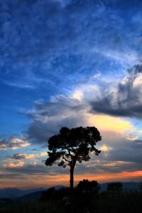 The Breath of Creation