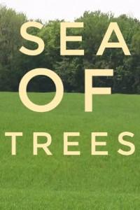 Sea Of Trees