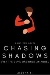 Chasing Shadows