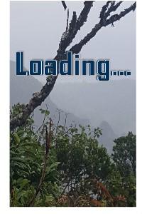 Loading...