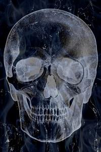 Follower Of Death