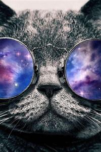 reincarnation/bad stuff happening / no fun